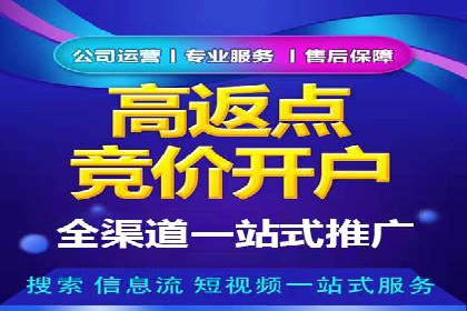 SEM托管代运营案例：打造高效营销体系